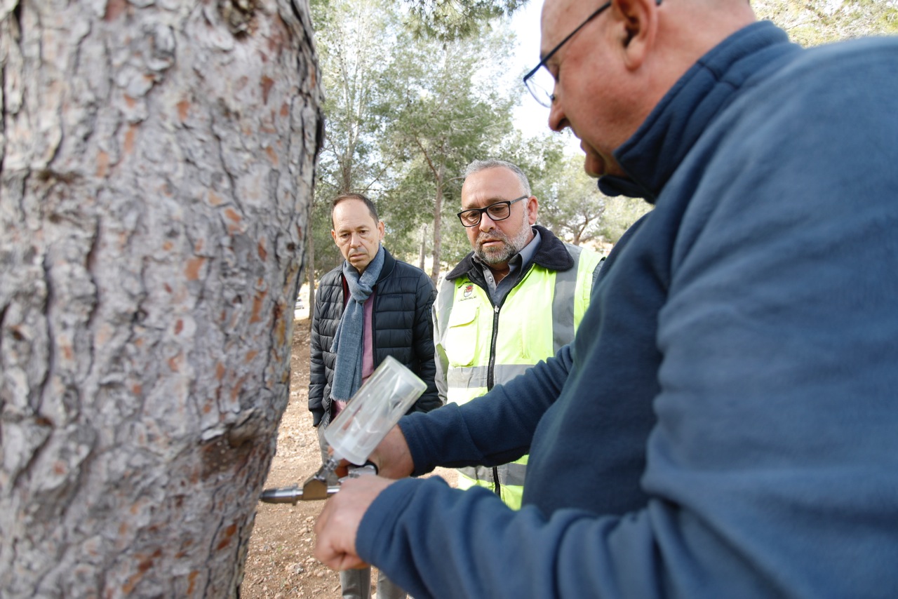 Endoterapia para combatir las plagas en los árboles y palmeras de l'Alfàs  del Pi - Ayuntamiento de l'Alfàs del Pi | Sede Electrónica