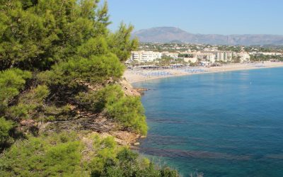 L’Alfàs opta al galardón medioambiental Flors d’Honor en la VIII Gala de Viles en Flor que se celebra mañana