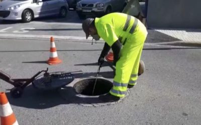Comienza la 4ª campaña de desinsectación en el término municipal de l’Alfàs del Pi