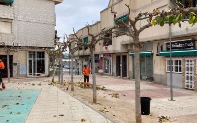 El Ayuntamiento de l’Alfàs continúa con la campaña de poda de arbolado