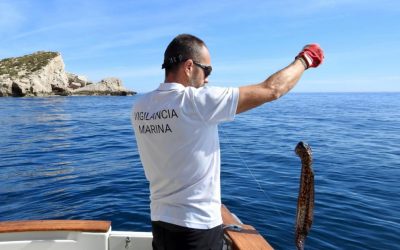 La embarcación del Parque Natural  descubre redes ilegales en el dominio marítimo de Serra Gelada