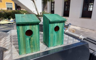 La Concejalía de Medio Ambiente coloca cajas nido para el control de plagas de insectos