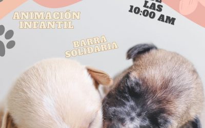 L’Alfàs acoge este domingo el VII Festival de la Adopción que organiza APPA Protección Animal