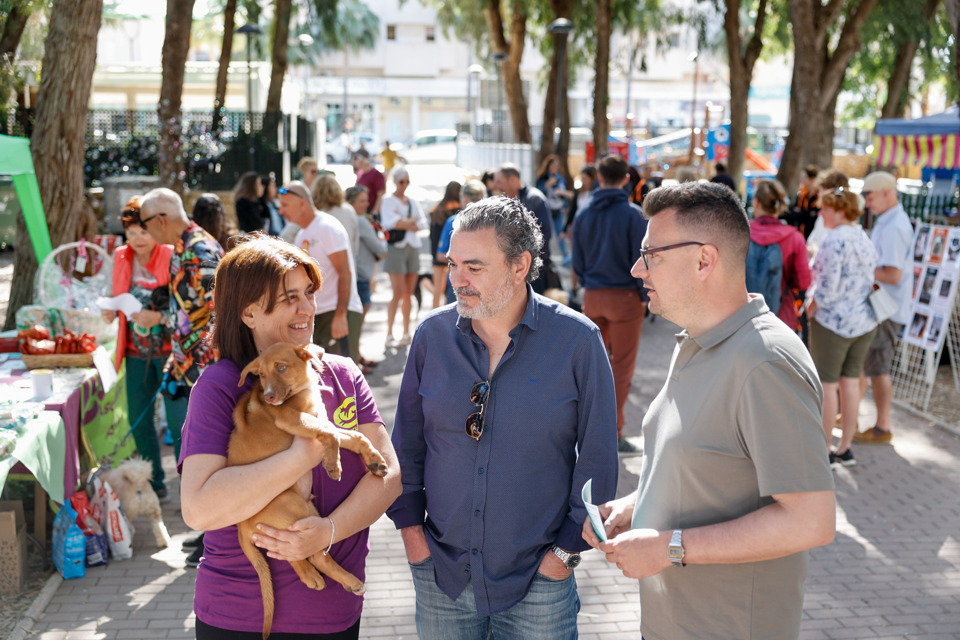 Una decena de perros encuentran un nuevo hogar en el VII Festival de la Adopción de l’Alfàs