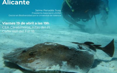 El doctor Jaime Penadés presenta en l’Alfàs la charla ‘Tiburones y rayas de las costas de Alicante’