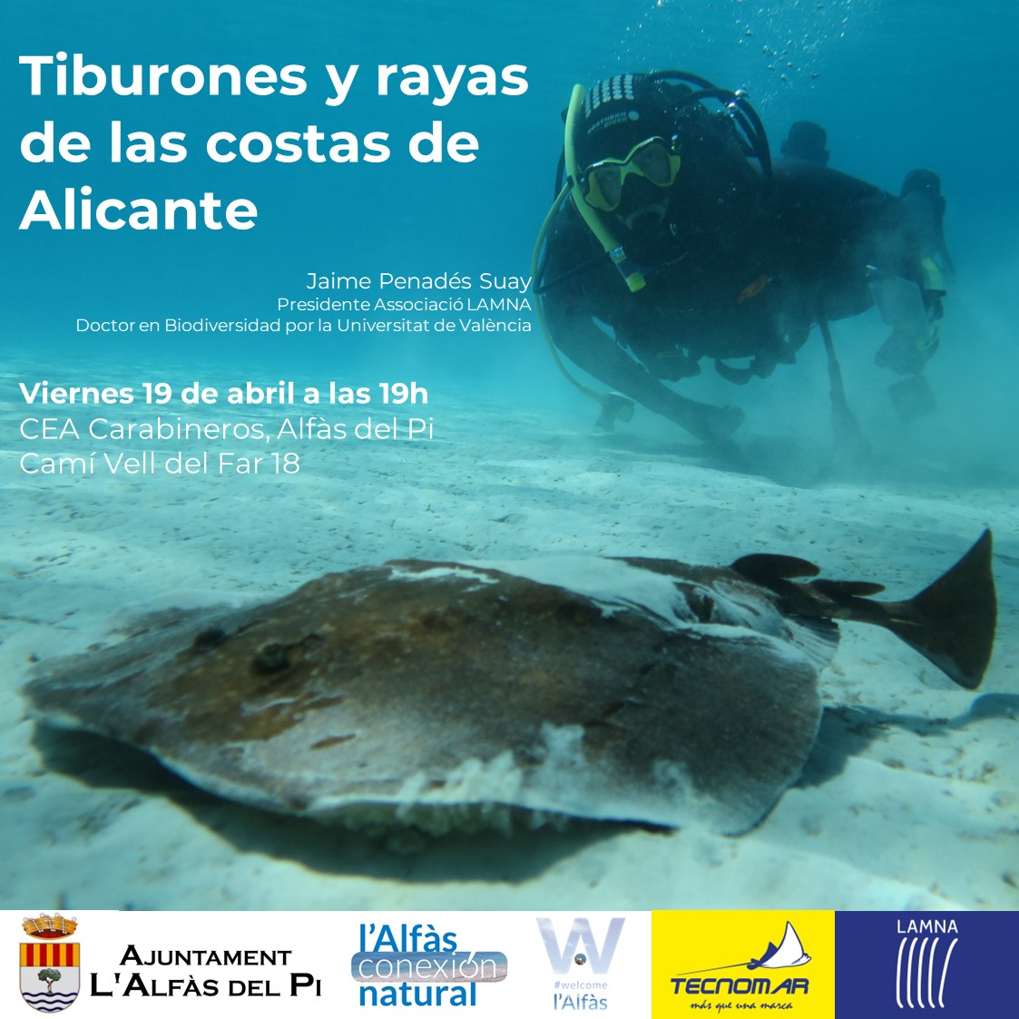 El doctor Jaime Penadés presenta en l’Alfàs la charla ‘Tiburones y rayas de las costas de Alicante’