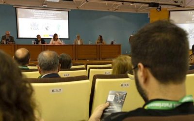 El Museo Villa Romana de l’Albir se analiza en el I Congreso Internacional de Arqueología Digital y Gestión del Patrimonio