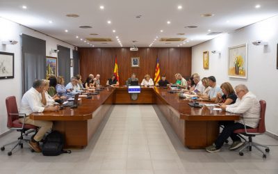 Aprobada la cuenta general del ejercicio 2024 en un pleno extraordinario de cinco minutos
