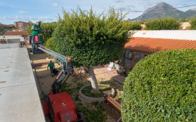 Servicios Técnicos prepara el cementerio municipal para la festividad de Todos los Santos