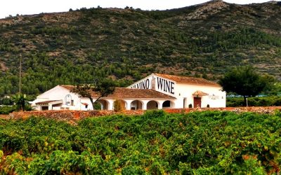 Casa Agrícola, las bodegas del empresario alfasino Pepe Mendoza entre lo mejor de la DOP de Alicante