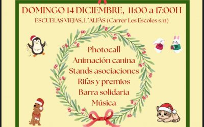 APPA organiza el II Mercadillo Navideño Solidario en colaboración con el Ayuntamiento de l’Alfàs del Pi