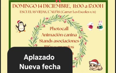 APPA organiza este domingo el II Mercadillo Navideño Solidario en colaboración con el Ayuntamiento de l’Alfàs del Pi