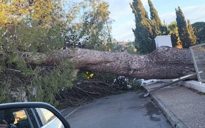 L’Alfàs del Pi agradece la labor de los servicios de emergencia ante el fuerte temporal de viento