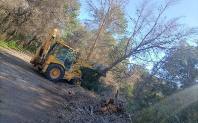 La Policía Local de l’Alfàs atiende 112 llamadas y 19 avisos del 112CV por el temporal de viento