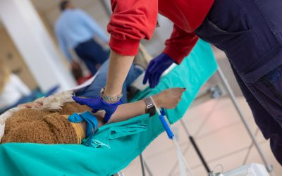 Mañana jueves l’Alfàs del Pi acoge una nueva jornada de donación de sangre