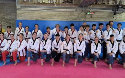 Albert y Andreu Ródenas han sido llamados por la Selección  Autonómica de Taekwondo